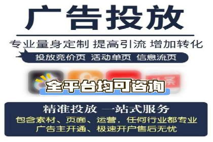 SEM主管实战：案例分析与优化策略